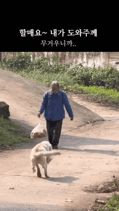 할머니 무거운거 제가 들게요 | 인스티즈