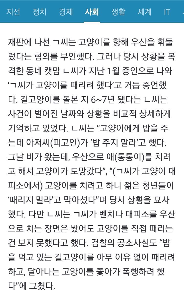 법원 : 물리적(직접적) 가해가 없었더라도 길고양이를 위협한 경우 벌금형 | 인스티즈