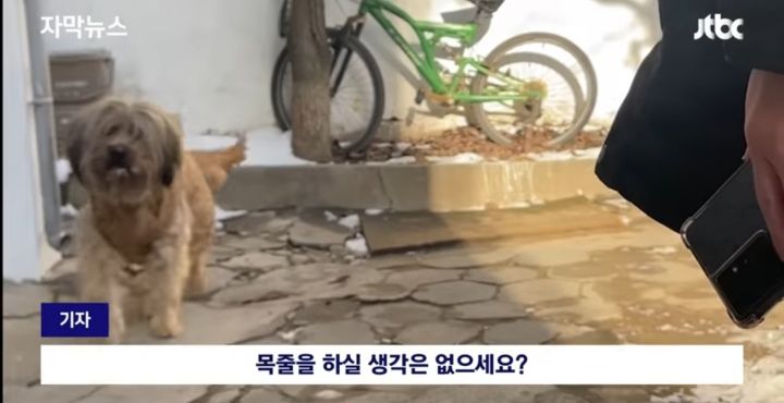 우리 개는 사람은 안물어 | 인스티즈