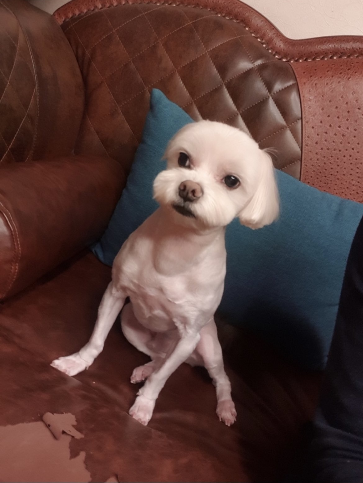 냠냠쩝쩝 이미지