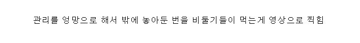 러시아 맥도날드 대체제 근황 | 인스티즈