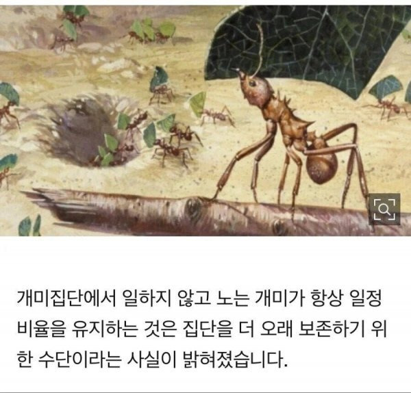 개미 이미지