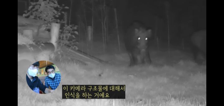 도로 위 야생동물 생태통로를 이용하는 동물들.jpg | 인스티즈