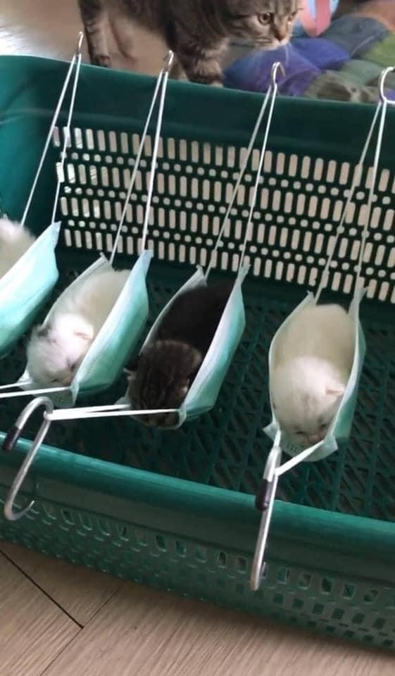 꿀잠 자는 아이들 | 인스티즈