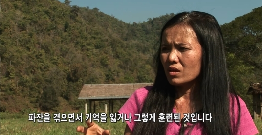 태국의 코끼리 전통의식 파잔 | 인스티즈