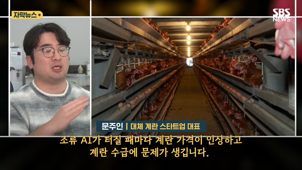 90%일치 대체 계란 만든 계란 스타트업 | 인스티즈