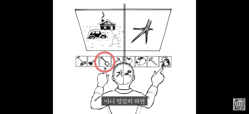 (스압)분리 뇌 실험 | 인스티즈