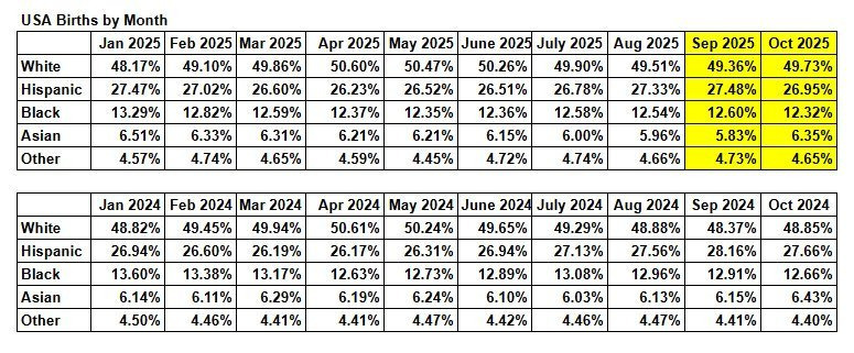 의외로 미국서 백인보다 출산율이 낮은 인종 | 인스티즈