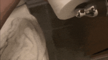 ㅈ간지 재장전.gif | 인스티즈