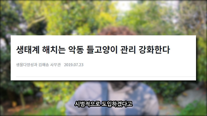 [사진100장스압] 고양이가 자연생태계에 끼치는 심각한 영향 | 인스티즈