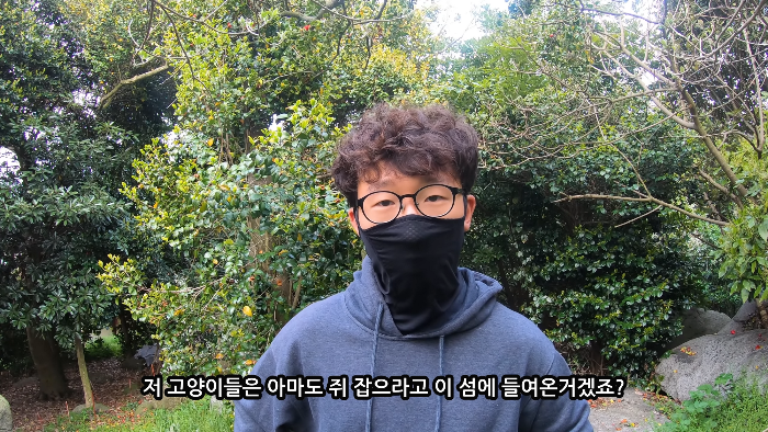 [사진100장스압] 고양이가 자연생태계에 끼치는 심각한 영향 | 인스티즈