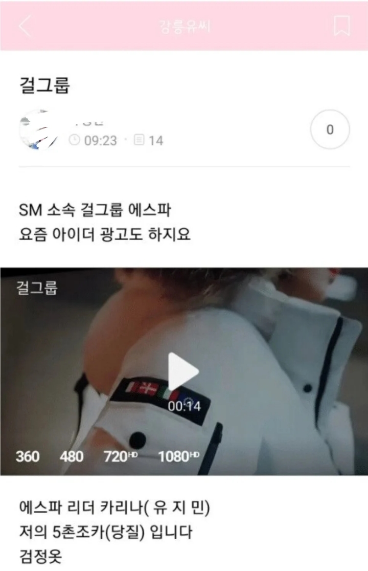 카리나 데뷔전 바이럴 논란 | 인스티즈