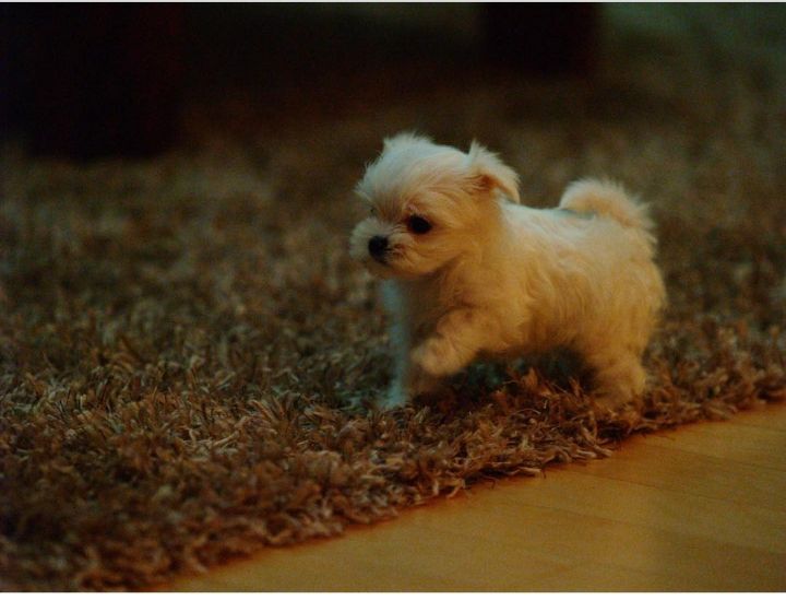 1d17c6930a7db4db16b45b8d284e18ce22f0da4f