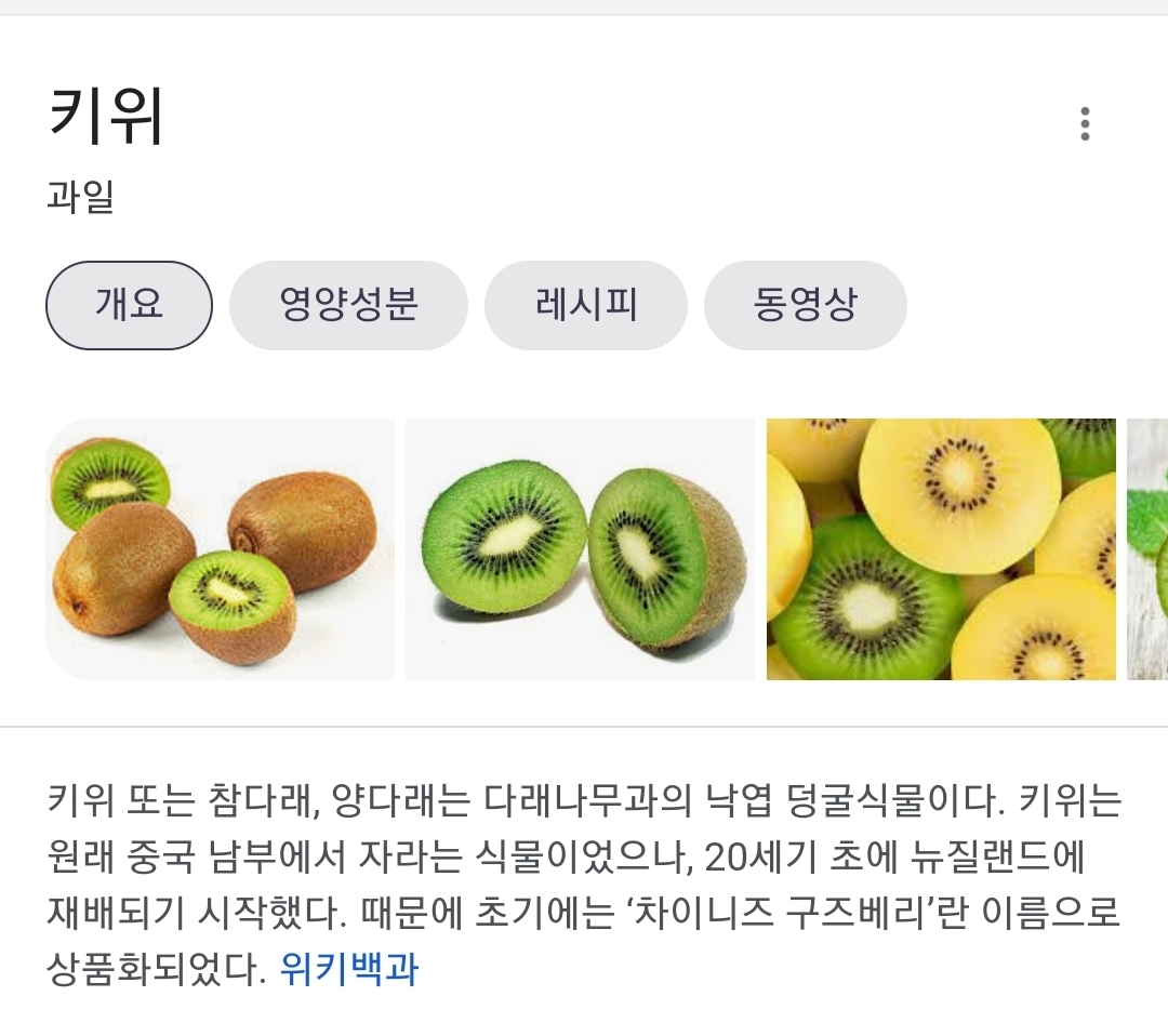 사람들이 잘 모르는 키위의 진실.jpg | 인스티즈