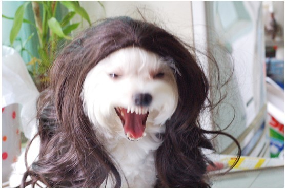 1d38622e61b13a328883fcb9ae32acdb510e83dd