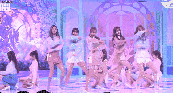 다인원 보는 맛이 있었던 아이즈원 군무들.gif | 인스티즈