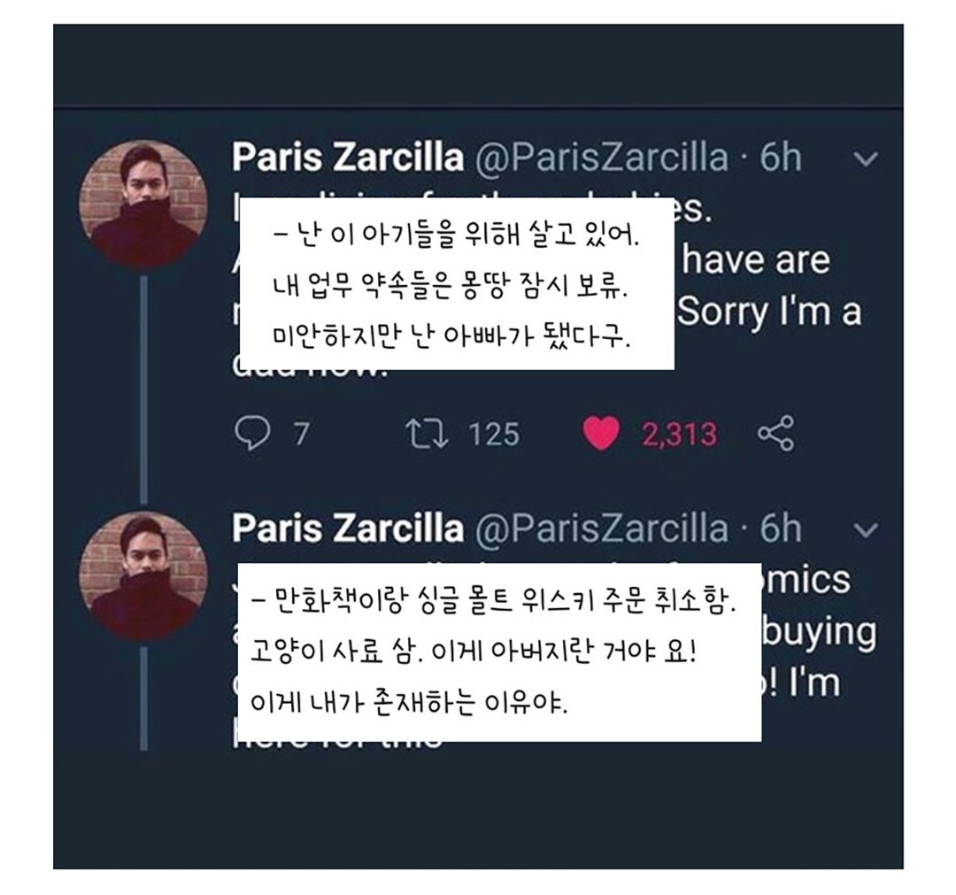 우울증 걸린 사람집에 고양이가 들어옴 | 인스티즈