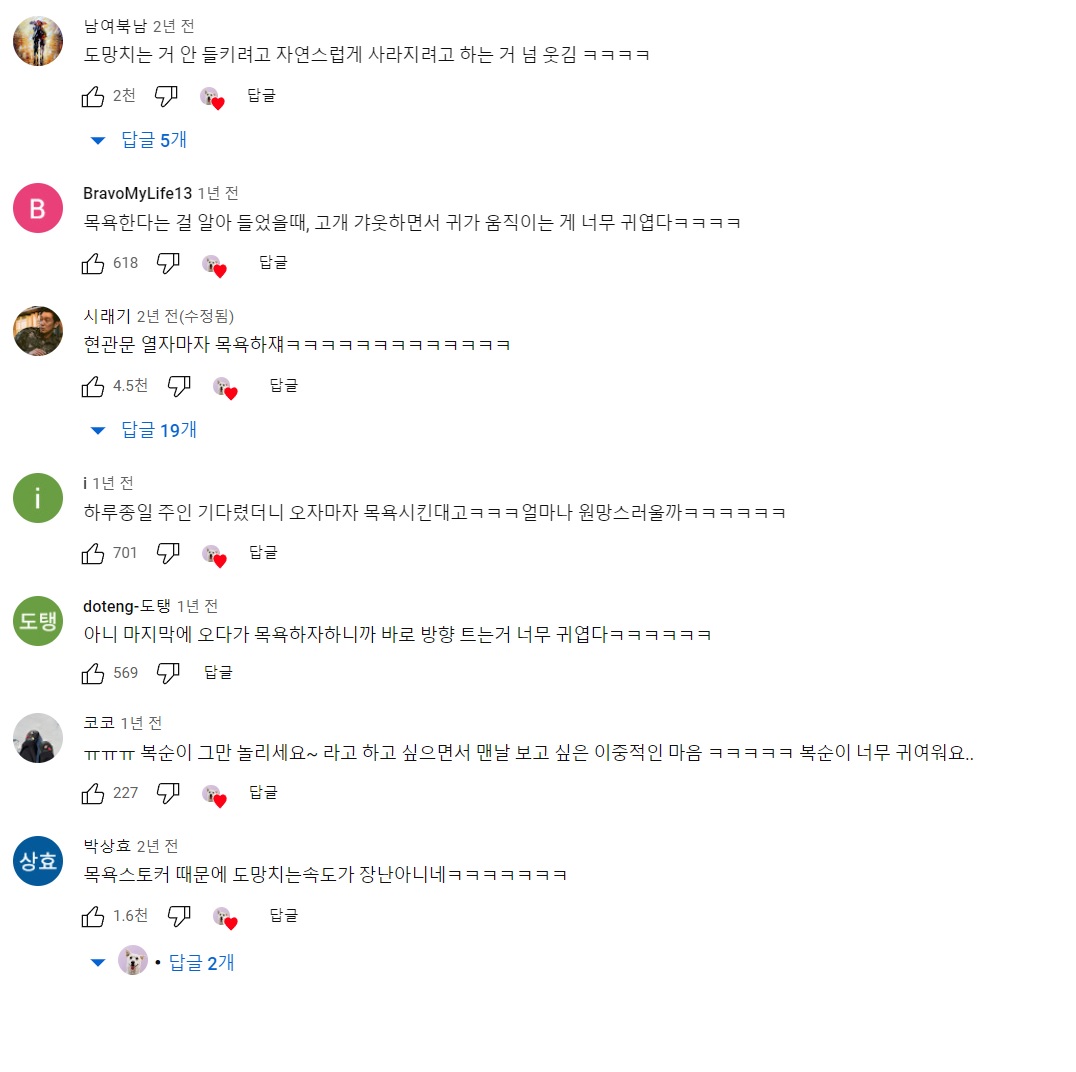 복순아 목욕하자~ | 인스티즈