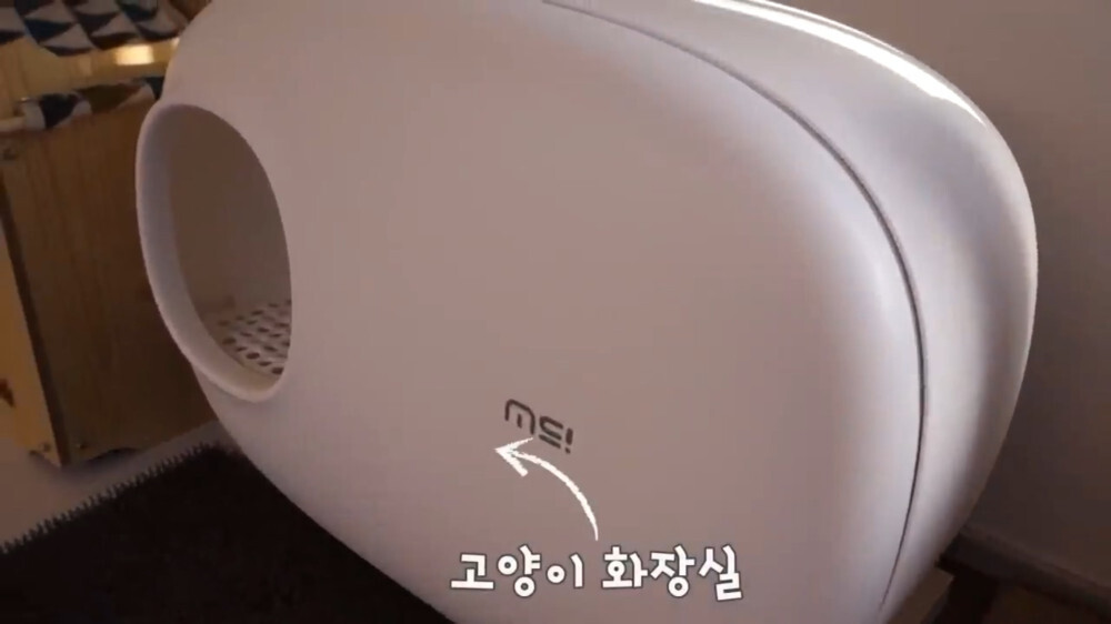 [스압주의] 일본인 캣맘 유튜버 2편 - 3천만원짜리 고양이 집 지음 | 인스티즈