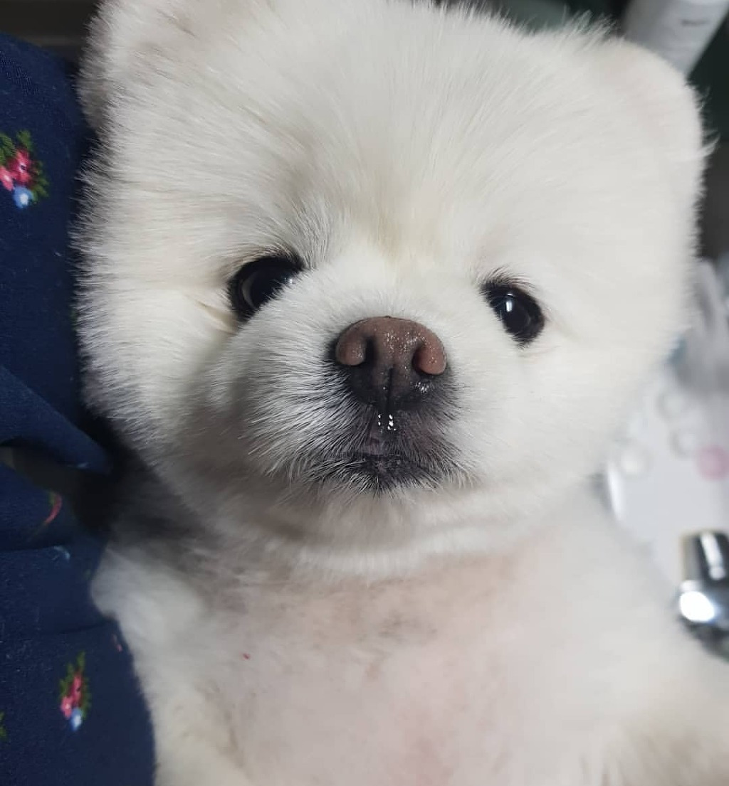 세계 각국의 출근모습 | 인스티즈