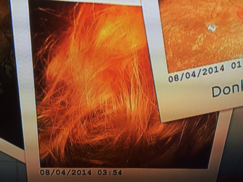 프론 크레머르스 실종사건 | 인스티즈