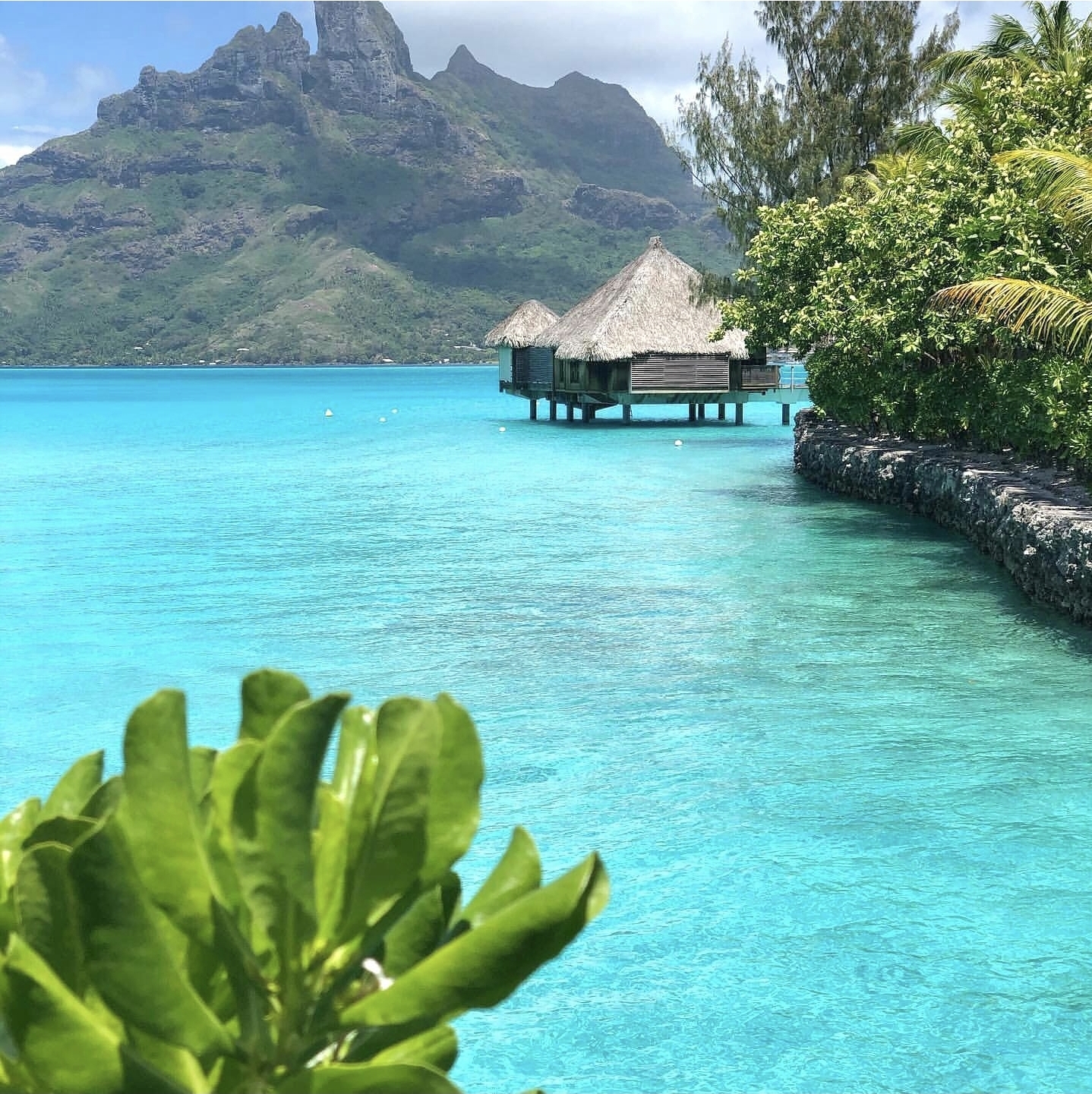 프랑스령 타히티 보라보라섬.jpg | 인스티즈