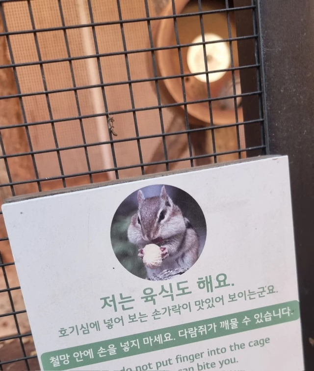 다람쥐 구경시 주의문 | 인스티즈