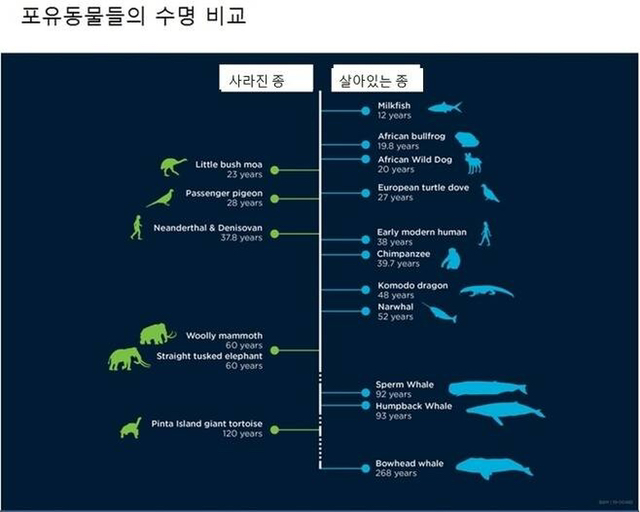 충격.. 인간의 자연수명..news | 인스티즈