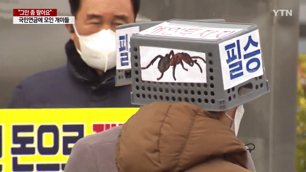 오늘자 주식 개미들 근황.. | 인스티즈