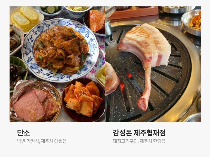 네이버지도에서 사람들이 많이 저장한 제주도 맛집 Top80 | 인스티즈