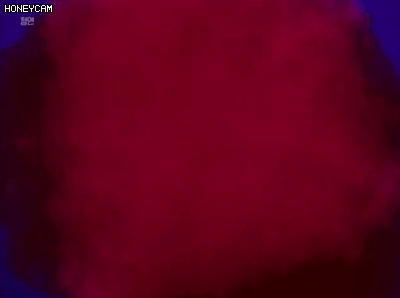 90년대생의 꿈과 희망을 짓뭉겐 디지몬 진화 gif | 인스티즈