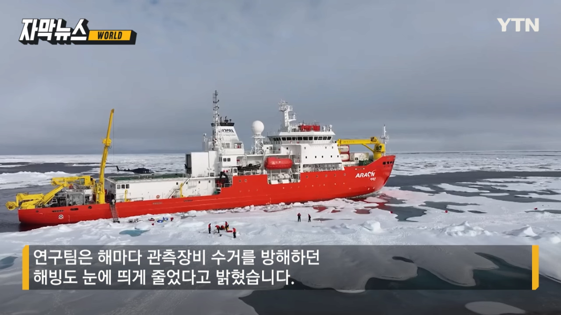 동해에서 사라진 오징어들 북극에서 발견됨 | 인스티즈
