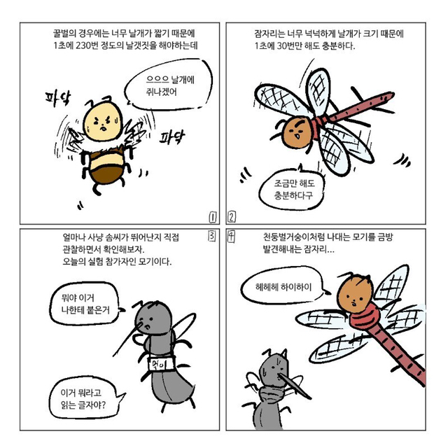잠자리가 줄어드는 이유.jpg | 인스티즈