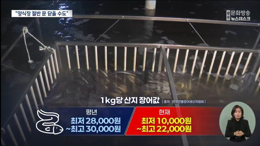 현재 난리났다는 장어값 역대급 대폭락 도산위기 근황 | 인스티즈