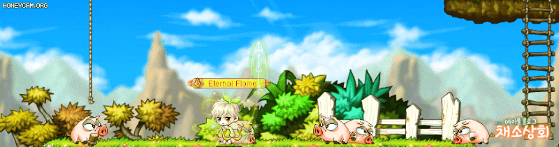 메이플스토리 데미지 스킨 모음 | 인스티즈