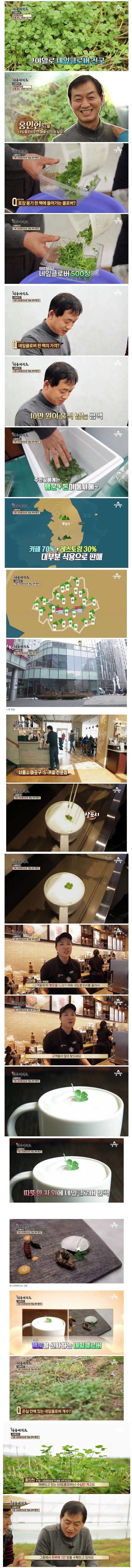독점 아이디어로 연매출 10억.jpg | 인스티즈