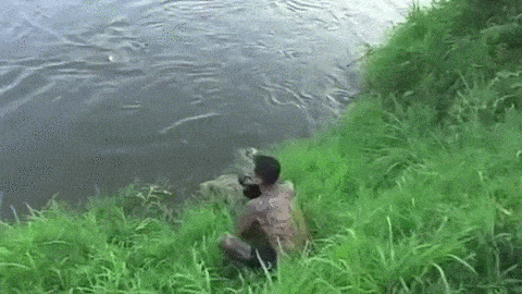 누군가는 재미로 던진돌에..gif | 인스티즈