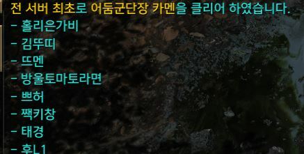 결국 퍼클 등장한 로스트아크 카멘레이드 | 인스티즈