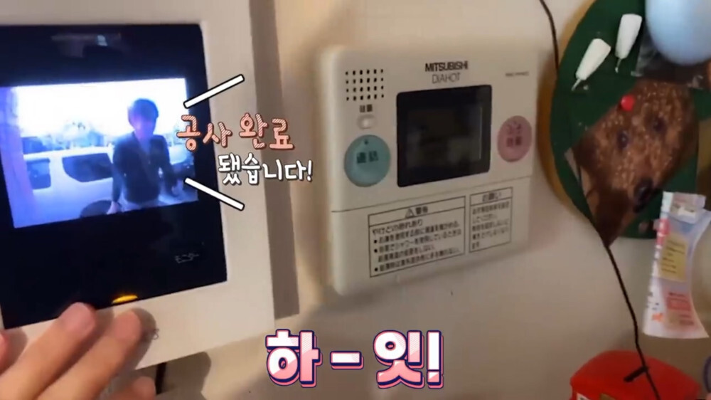 [스압주의] 일본인 캣맘 유튜버 2편 - 3천만원짜리 고양이 집 지음 | 인스티즈