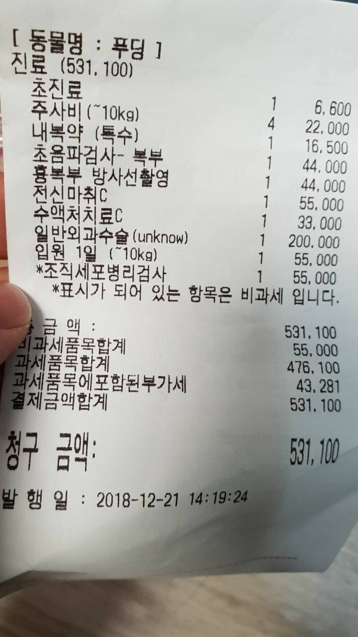 니들 531,600원짜리 햄스터 본 적 있니? | 인스티즈