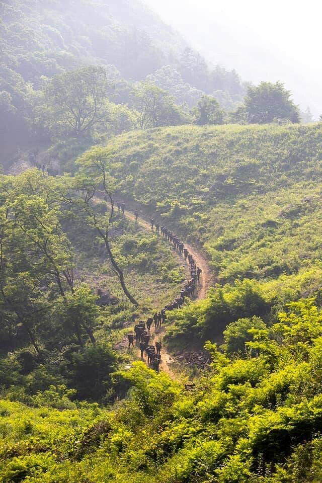 군필자들 PTSD 오는 완전 군장 행군.jpgif | 인스티즈