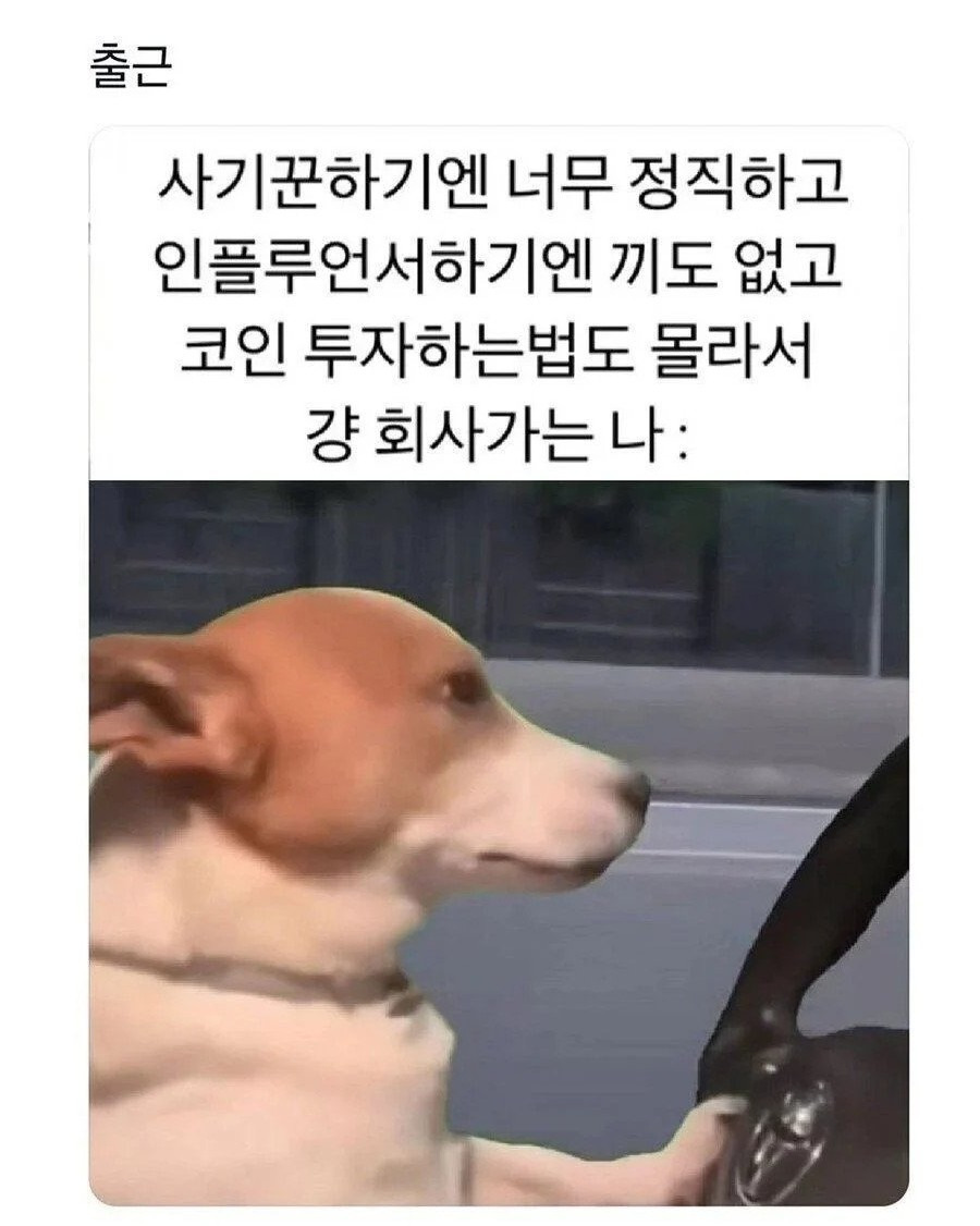 평범한 직장인들 특징 | 인스티즈