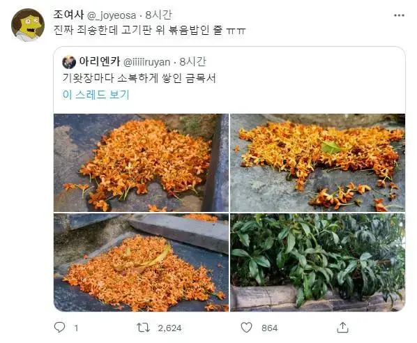 한국인들은 잘 속는 사진 | 인스티즈