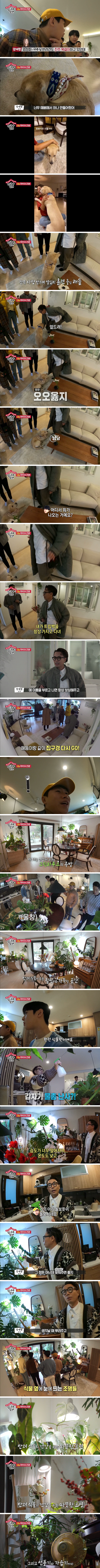 20150745d42fb85edf5969585c0d27d246868b1d