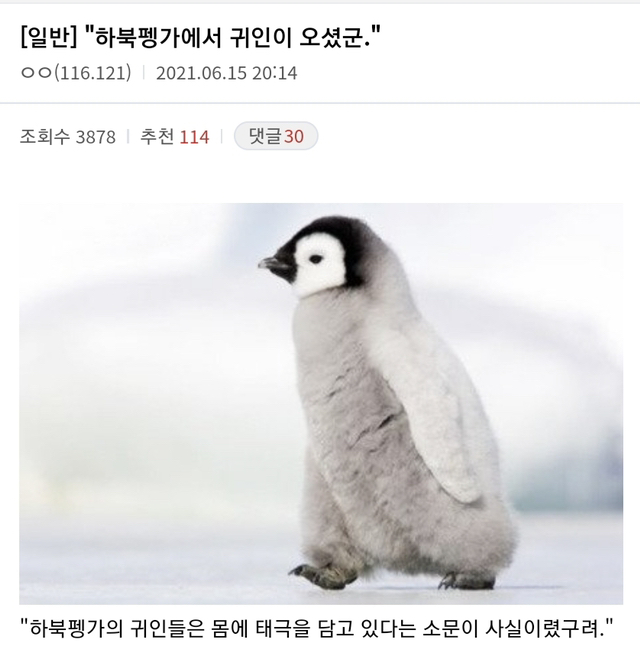 귀인 이미지
