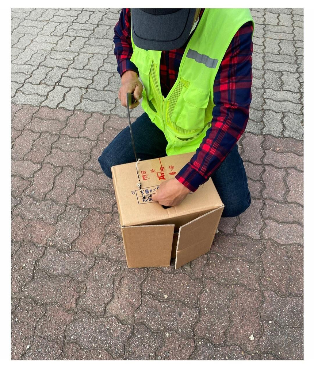 집냥이가 된 어느 길냥이 이야기 | 인스티즈