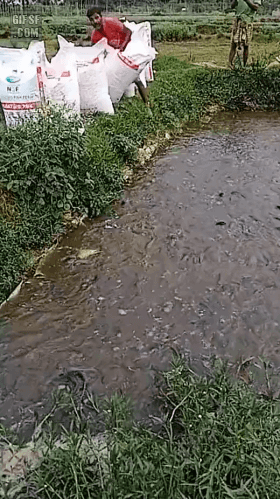 물고기 먹이 주기 | 인스티즈