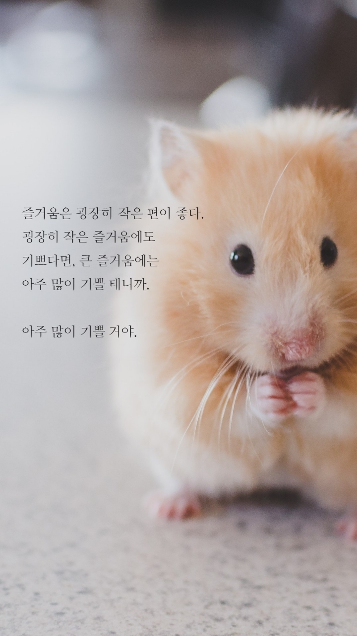 보노보노 명대사 | 인스티즈