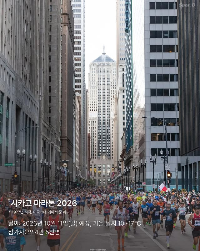 세계 7대 마라톤 | 인스티즈