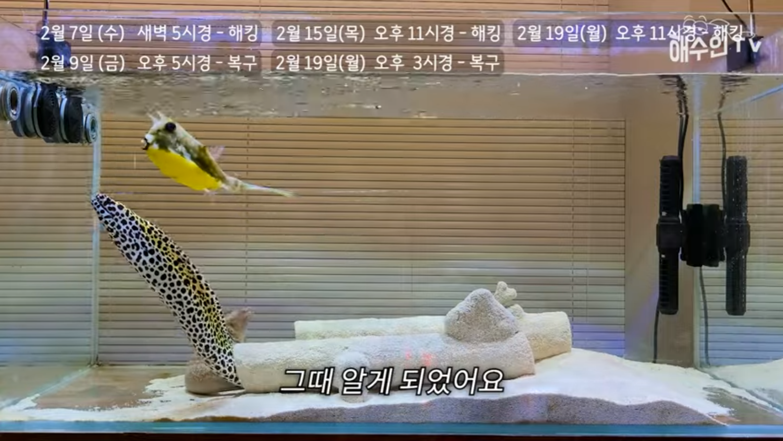 유튜브 계정이 3번이나 해킹 당한 이유 | 인스티즈